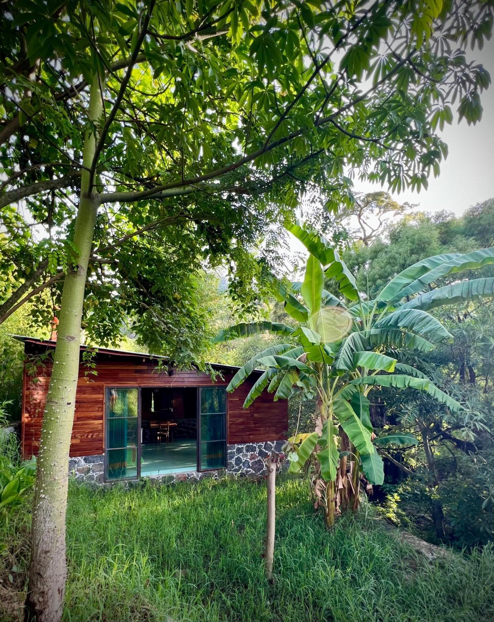 Santuario Ave Fenix-Cabanas Tepoztlan Exterior photo