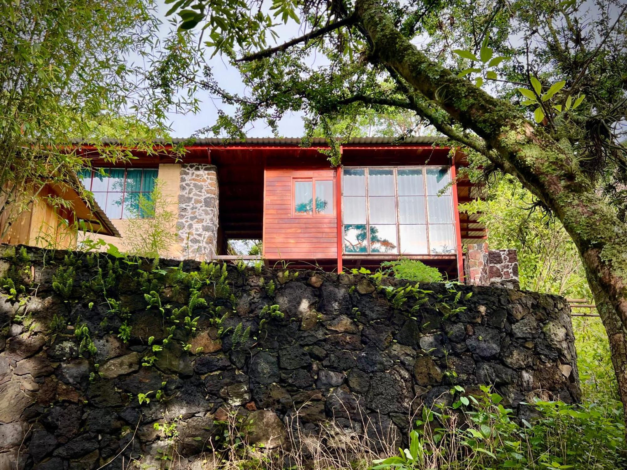 Santuario Ave Fenix-Cabanas Tepoztlan Room photo
